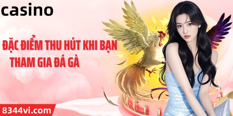 Hình ảnh quảng cáo của dk8 hiển thị nền tảng và các lợi ích